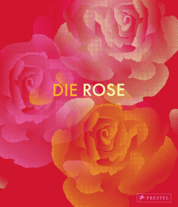 Die Rose