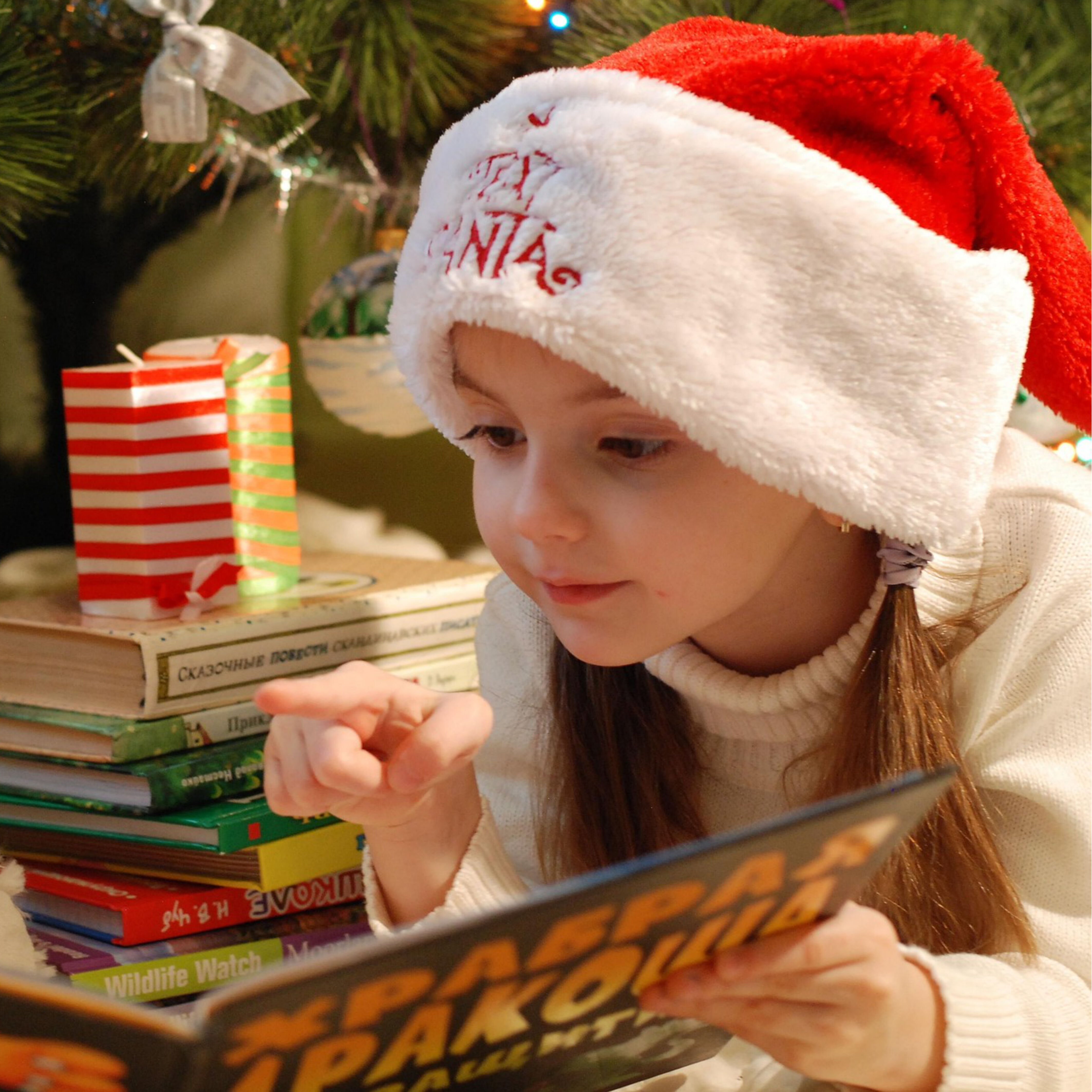 Weihnachten 2026 - Kinderb&uuml;cher